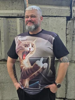 кот,водитель,злой